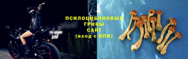 прущий лед Аркадак