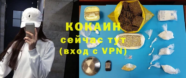 ешки Арсеньев