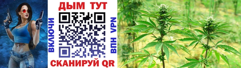 где купить наркоту  блэк спрут вход  Бошки Шишки SATIVA & INDICA  Урай 
